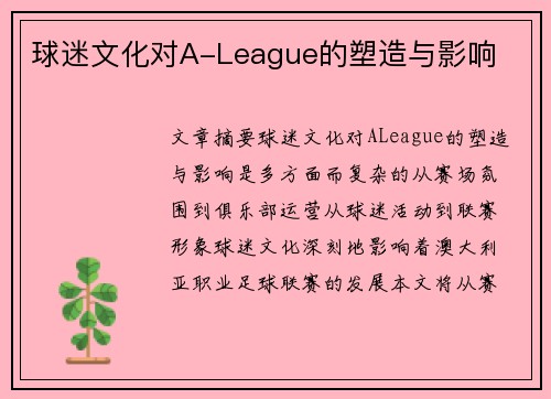 球迷文化对A-League的塑造与影响