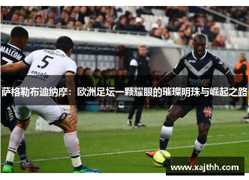 萨格勒布迪纳摩：欧洲足坛一颗耀眼的璀璨明珠与崛起之路